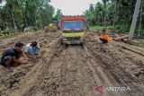 Jalan rusak di Tanjung Jabung Timur