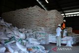Pekerja menata beras dalam karung di gudang penyimpanan Kantor Wilayah  Perum Bulog Aceh, di kabupaten Aceh Besar, Aceh, Selasa (16/5/2023). Kanwil Perum Bulog di daerah itu mencatat hingga Mei 2023 capaian serapan beras petani hasil  panen raya sebanyak 2.418 ton dan gabah kering giling (GKG) sebanyak 2.430 ton, sedangkan total stok beras saat ini sebanyak 8.200 ton. ANTARA FOTO/Ampelsa.