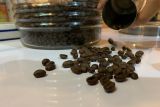 Baristand Palembang kenalkan kopi Sumsel ke kancah dunia