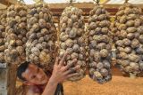 Pemilik menjemur buah pinang di penampungan pinang Dusun Parit Selamat, Lagan Tengah, Tanjung Jabung Timur, Jambi, Selasa (16/5/2023). Harga jual biji pinang kering yang diantaranya digunakan untuk campuran bahan baku pembuatan kosmetik dan obat-obatan itu di tingkat penampung setempat anjlok sejak setahun terakhir dari Rp20 ribu per kilogram menjadi Rp5 ribu per kilogram hari ini. ANTARA FOTO/Wahdi Septiawan/rwa.