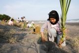 Perempuan milenial pendukung Ganjar tanam pandan laut dan bersih-bersih pantai di Bantul