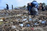 Sejumlah mahasiswa dan aktivis lingkungan memungut sampah botol plastik bekas di muara sungai kawasan pantai Lampulo, Banda Aceh, Aceh, Minggu (21/5/2023). Aksi peduli lingkungan melibatkan Aceh Birding Club dan Himpunan Masiswa Biologi FKIP Universitas Syiah Kuala (USK) dalam rangka peringatan World Migratory Bird Day dengan tema 