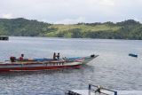 Bom ikan ancam ekosistem zona inti Taman Nasional Teluk Cendrawasih
