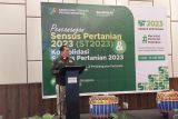 BPS: Petani muda di Bengkulu masih rendah