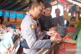 Tim gabungan Polres Pasaman Barat-Polda kembali tertibkan penambangan emas tanpa izin di Tombang (Video)