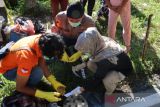 Penemuan sosok mayat perempuan gegerkan warga di Lubuk Selasih