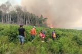 Balai PPIKHL wilayah Sumatera bantu pemadaman kebakaran lahan Pessel