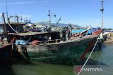 Petugas memeriksa hasil tangkapan ikan kapal trawl  usai penangkapan di Pelabuhan Perikanan Samudera (PPS) Banda Acerh, Aceh, Sabtu (27/5/2023). Pangkalan Pengawasan Sumber Daya Kelautan dan Perikanan (PSDKP) menangkap dua unit kapal ikan Indonesia, KM Surya Citra dan KM Laot Jaya di perarian Langsa dan Lhokseumawe, provinsi Aceh karena menggunakan trawl , tanpa dilengkapi dokumen dan mengamankan sebanyak 15 ABK . ANTARA FOTO/Ampelsa.