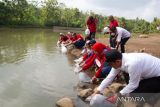 Perum LKBN ANTARA Biro DIY menebar benih ikan di Embung Bogor