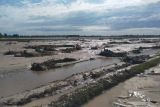 1.814 hektare sawah rusak akibat banjir Balinggi Parigi Moutong