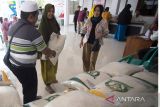 Petugas memberikan bantuan sosial beras kepada Keluarga Penerima Manfaat (KPM) saat penyaluran bansos beras di Indramayu, Jawa Barat, Rabu (31/5/2023). Badan Pangan Nasional (Bapanas) melalui PT Pos Indonesia menyalurkan beras bantuan kepada 21,3 juta KPM di 38 provinsi dari April hingga Mei 2023 dengan jumlah total beras yang didistribusikan sebanyak 640.590 ton. ANTARA FOTO/Dedhez Anggara/agr