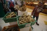 Pengunjung melihat hasil petani Ponorogo berupa jahe kualitas ekspor di salah satu stan pameran saat pembukaan East Java International Trade Festival di Surabaya, Jawa Timur, Selasa (30/5/2023). Kegiatan yang berlangsung hingga 31 Mei tersebut bertujuan untuk meningkatkan nilai ekspor dan neraca perdagangan luar negeri sekaligus meningkatkan promosi dan citra produk ekspor Jawa Timur. Antara Jatim/Moch Asim/zk.