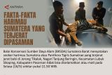 FAKTA-FAKTA HARIMAU SUMATERA YANG TERJERAT DIPASAMAN