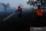 Kebakaran lahan gambut di Kubu Raya. Dua petugas kepolisian melakukan pembasahan di lokasi kebakaran lahan gambut di Desa Limbung, Kecamatan Sungai Raya, Kabupaten Kubu Raya, Kalimantan Barat, Kamis (1/6/2023). Hingga kini Tim gabungan kepolisian, BPBD dan damkar swasta setempat masih terus berjibaku melakukan pemadaman api kebakaran di lahan gambut tersebut yang terbakar sejak Senin (29/5/2023) kemarin agar tidak mendekati kawasan Bandara Internasional Supadio. ANTARA FOTO/Jessica Helena WuysangJESSICA HELENA WUYSANG/JESSICA HELENA WUYSANG (JESSICA HELENA WUYSANG/JESSICA HELENA WUYSANG)