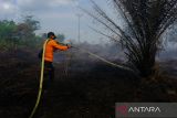 Kebakaran lahan gambut di Kubu Raya. Petugas kepolisian melakukan pembasahan di lokasi kebakaran lahan gambut di Desa Limbung, Kecamatan Sungai Raya, Kabupaten Kubu Raya, Kalimantan Barat, Kamis (1/6/2023). Hingga kini Tim gabungan kepolisian, BPBD dan damkar swasta setempat masih terus berjibaku melakukan pemadaman api kebakaran di lahan gambut tersebut yang terbakar sejak Senin (29/5/2023) kemarin agar tidak mendekati kawasan Bandara Internasional Supadio. ANTARA FOTO/Jessica Helena WuysangJESSICA HELENA WUYSANG/JESSICA HELENA WUYSANG (JESSICA HELENA WUYSANG/JESSICA HELENA WUYSANG)