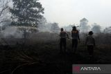 Kebakaran lahan gambut di Kubu Raya. Tiga petugas kepolisian melakukan pembasahan di lokasi kebakaran lahan gambut di Desa Limbung, Kecamatan Sungai Raya, Kabupaten Kubu Raya, Kalimantan Barat, Kamis (1/6/2023). Hingga kini Tim gabungan kepolisian, BPBD dan damkar swasta setempat masih terus berjibaku melakukan pemadaman api kebakaran di lahan gambut tersebut yang terbakar sejak Senin (29/5/2023) kemarin agar tidak mendekati kawasan Bandara Internasional Supadio. ANTARA FOTO/Jessica Helena WuysangJESSICA HELENA WUYSANG/JESSICA HELENA WUYSANG (JESSICA HELENA WUYSANG/JESSICA HELENA WUYSANG)