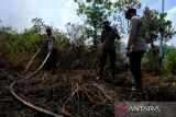 Kebakaran lahan gambut di Kubu Raya. Tiga petugas kepolisian melakukan pembasahan di lokasi kebakaran lahan gambut di Desa Limbung, Kecamatan Sungai Raya, Kabupaten Kubu Raya, Kalimantan Barat, Kamis (1/6/2023). Hingga kini Tim gabungan kepolisian, BPBD dan damkar swasta setempat masih terus berjibaku melakukan pemadaman api kebakaran di lahan gambut tersebut yang terbakar sejak Senin (29/5/2023) kemarin agar tidak mendekati kawasan Bandara Internasional Supadio. ANTARA FOTO/Jessica Helena WuysangJESSICA HELENA WUYSANG/JESSICA HELENA WUYSANG (JESSICA HELENA WUYSANG/JESSICA HELENA WUYSANG)