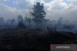 Kebakaran lahan gambut di Kubu Raya. Suasana kebakaran lahan gambut di Desa Limbung, Kecamatan Sungai Raya, Kabupaten Kubu Raya, Kalimantan Barat, Kamis (1/6/2023). Hingga kini Tim gabungan kepolisian, BPBD dan damkar swasta setempat masih terus berjibaku melakukan pemadaman api kebakaran di lahan gambut tersebut yang terbakar sejak Senin (29/5/2023) kemarin agar tidak mendekati kawasan Bandara Internasional Supadio. ANTARA FOTO/Jessica Helena WuysangJESSICA HELENA WUYSANG/JESSICA HELENA WUYSANG (JESSICA HELENA WUYSANG/JESSICA HELENA WUYSANG)