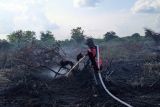 BPBD Palangka Raya catat sudah 22 kasus kebakaran lahan