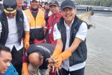 President, Finance Minister to join great shrimp harvest