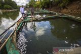 Petambak membersihkan ikan mati dari keramba jaring apung (KJA) di Sungai aliran bendungan Karang Intan, Desa Mali-Mali, Kabupaten Banjar, Kalimantan Selatan, Selasa (6/6/2023). Sejak tiga hari lalu sedikitnya 11 ton ikan yang dibudidayakan itu mati akibat kondisi air bendungan Karang Intan yang surut dan kualitas air menurun dampak musim kemarau sehingga petambak merugi hingga ratusan juta rupiah. ANTARA/Bayu Pratama S.