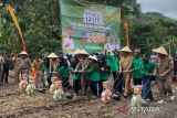 Mentan mendorong petani Gunungkidul tanam kedelai secara masif