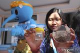 Petugas menunjukkan sampel nyamuk aedes aegypti yang sudah disuntikkan bakteri Wolbachia saat peluncuran kampanye metode Wolbachia dari World Mosquito Program (WMP) dan Save the Children Indonesia untuk cegah demam berdarah dengue (DBD) di Denpasar, Bali, Selasa (6/6/2023). Kampanye tersebut digelar untuk meningkatkan pengetahuan dan penerimaan masyarakat mengenai metode Wolbachia guna pencegahan DBD yang rencananya akan dilaksanakan sampai bulan November 2023 di 24 desa di Kota Denpasar. ANTARA FOTO/Nyoman Hendra Wibowo/wsj.