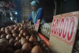 Pedagang menata telur ayam ras di lapak dagangannya di kawasan Pasar Panorama, Kota Bengkulu, Provinsi Bengkulu, Selasa (6/6/2023). Menurut pedagang, harga telur ayam ras di daerah tersebut mengalami kenaikan dari harga Rp48.000 per karpet menjadi Rp60.000 per karpet dikarenakan mahalnya harga pakan di tingkat peternak. ANTARA FOTO/Muhammad Izfaldi/aww.