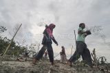 Sejumlah anak mengikuti penanaman pohon cemara di areal terdampak abrasi di pesisir barat Kabupaten Seluma, Bengkulu. Penanaman ratusan bibit pohon cemara yang diinisiasi oleh Wahana Lingkungan Hidup (Walhi) Bengkulu bersama warga diwilayah tersebut dalam rangka memperingati Hari Lingkungan Hidup sedunia sekaligus sebagai bentuk penolakan terhadap kehadiran tambang pasir besi yang dapat memperparah terjadinya abrasi. ANTARA FOTO/Muhammad Izfaldi/tom.