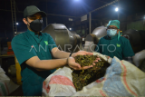 Pengolahan teh Mitra Kerinci