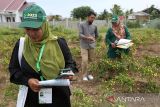 Menilik metode pengumpulan data Sensus Pertanian 2023