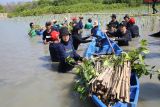 Telkomsel tanam 15.060 pohon di Kawasan Hutan Mangrove Indonesia