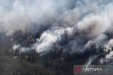 Foto udara kebakaran hutan di kawasan bagian timur Abai, Kazakhstan, Senin (12/6/2023). Pemerintah setempat mengerahkan sekitar 1.500 orang petugas yang dilengkapi dengan ratusan kendaraan dan 12 helikopter untuk berjuang memadamkan api yang melahap sekitar 43.000 hektar hutan di wilayah yang berbatasan dengan Rusia dan China tersebut. ANTARA FOTO/Reuters/Turar Kazangapov/nym.