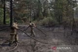 Petugas ambil bagian dalam operasi pemadaman kebakaran hutan di kawasan bagian timur Abai, Kazakhstan, Senin (12/6/2023). Pemerintah setempat mengerahkan sekitar 1.500 orang petugas yang dilengkapi dengan ratusan kendaraan dan 12 helikopter untuk berjuang memadamkan api yang melahap sekitar 43.000 hektar hutan di wilayah yang berbatasan dengan Rusia dan China tersebut. ANTARA FOTO/Reuters/Turar Kazangapov/nym.  