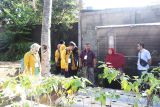 Tim Riset Dasar Unsoed kaji partisipasi perempuan dalam KWT di Cilacap