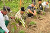 Petani NTB kembangkan tanam vanili organik