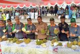 Bupati Sukamara ingin penyelenggaraan festival durian menjadi agenda tahunan