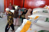 Pemerintah perpanjang bantuan beras 21,353 juta KPM hingga Oktober-Desember