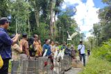 Kawasan hutan Kuala Kencana tempat melepasliarkan 62 burung