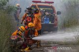 Petugas Badan Penanggulangan Bencana Daerah (BPBD) Kalsel berupaya memadamkan api yang membakar lahan gambut di Kecamatan Landasan Ulin, Banjarbaru, Kalimantan Selatan, Senin (19/6/2023). Tim gabungan BPBD, Manggala Agni dan damkar swasta masih terus melakukan upaya untuk memadamkan api kebakaran lahan gambut yang terus meluas di area ring satu kawasan Bandara Internasional Syamsudin Noor. ANTARA/Bayu Pratama S.
