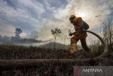 Petugas Badan Penanggulangan Bencana Daerah (BPBD) Kalsel berupaya memadamkan api yang membakar lahan gambut di Kecamatan Landasan Ulin, Banjarbaru, Kalimantan Selatan, Senin (19/6/2023). Tim gabungan BPBD, Manggala Agni dan damkar swasta masih terus melakukan upaya untuk memadamkan api kebakaran lahan gambut yang terus meluas di area ring satu kawasan Bandara Internasional Syamsudin Noor. ANTARA/Bayu Pratama S.