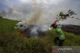 Relawan pemadam kebakaran berupaya memadamkan api yang membakar lahan gambut di Kota Banjarbaru, Kalimantan Selatan, Senin (19/6/2023). Tim gabungan BPBD, Manggala Agni dan damkar swasta masih terus melakukan upaya untuk memadamkan api kebakaran lahan gambut yang terus meluas di area ring satu kawasan Bandara Internasional Syamsudin Noor. ANTARA/Bayu Pratama S.