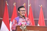 BKKBN: Gangguan mental ibu hamil berpotensi sebabkan bayi stunting