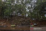 Pengunjung melihat batuan Hutan Serpentinit di Kawasan Situ Geopark Meratus Taman Hutan Raya (Tahura) Sultan Adam Mandiangin, Kabupaten Banjar, Kalimantan Selatan, Rabu (21/6/2023). Situs yang berada di Tahura Sultan Adam Mandiangin terletak pada ketinggian sekitar 400 hingga 600 mdpl itu merupakan warisan geologi berumur Jura Tengah 180 hingga 182 juta tahun lalu dengan perwujudan batuan tua di Pegunungan Meratus yang terangkat kepermukaan serta memiliki daya tarik bentangan Pegunungan Alam Meratus bagian Selatan. ANTARA/Bayu Pratama S.