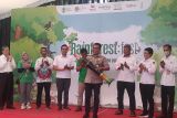 BNF kenalkan tiga tipe hutan pada anakmelalui festival hutan hujan