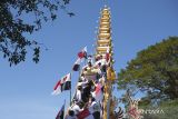 Sejumlah keluarga Puri Agung Denpasar menurunkan peti jenazah Raja Denpasar IX Ida Tjokorda Ngurah Jambe Pemecutan dari bade atau menara usungan saat upacara Pelebon di Denpasar, Bali, Rabu (21/6/2023). Puncak upacara Pelebon Raja Denpasar IX yang meninggal pada 18 Februari 2023 itu disaksikan oleh ribuan warga dan wisatawan. ANTARA FOTO/Nyoman Hendra Wibowo/wsj.