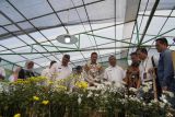 Wali Kota Solok apresiasi PLN Peduli kembangkan agrowisata Batu Patah Payo