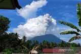 Gunung Ibu luncurkan abu setinggi 1.000 meter ke timur laut