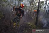 Petugas Badan Penanggulangan Bencana Daerah (BPDB) Provinsi Kalsel berupaya memadamkan api yang membakar lahan di Kecamatan Liang Anggang, Banjarbaru, Kalimantan Selatan, Sabtu (24/6/2023). Kebakaran hutan dan lahan gambut yang terjadi tak jauh dari permukiman warga tersebut diperkirakan mencapai puluhan hektare, hingga kini BPBD Provinsi Kalsel dibantu ratusan relawan pemadam kebakaran masih berupaya memadamkan api yang mendekati permukiman warga. ANTARA/Bayu Pratama S.