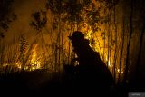 Upaya pemadaman karhutla hingga malam hari. Petugas Manggala Agni Daops Kalimantan VI berusaha memadamkan kebakaran lahan di Kecamatan Liang Anggang, Banjarbaru, Kalimantan Selatan, Minggu (25/6/2023). Petugas Manggala Agni dibantu relawan pemadam kebakaran berhasil memadamkan kebakaran lahan yang terjadi di daerah tersebut. ANTARA/Bayu Pratama S.